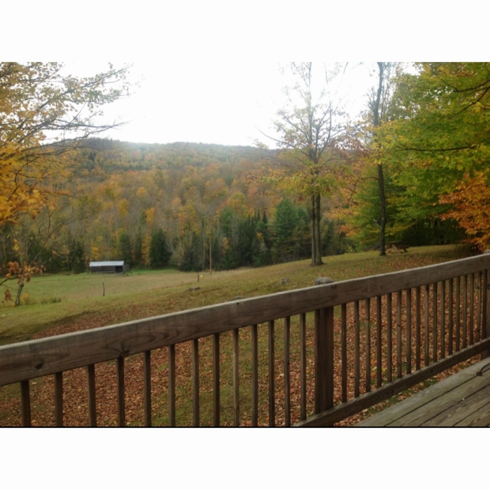 Meet your Posher, Lori